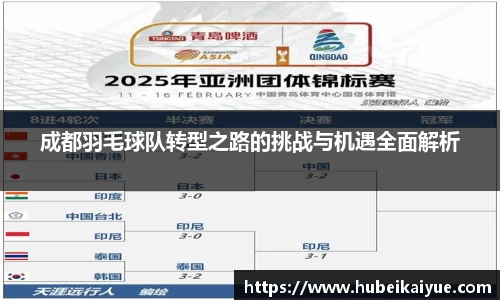 成都羽毛球队转型之路的挑战与机遇全面解析